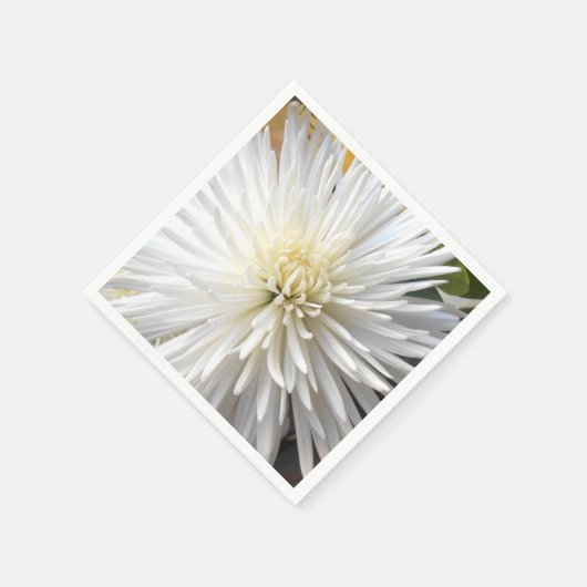 Claricia Servetten (Hoek)