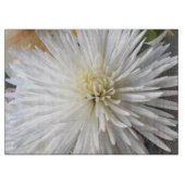 Claricia Snijplank (Voorkant)