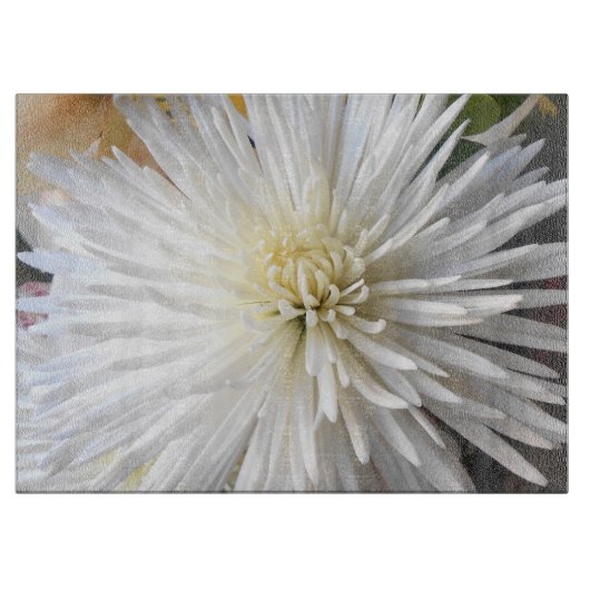 Claricia Snijplank (Voorkant)