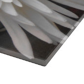 Claricia Snijplank (Hoek)