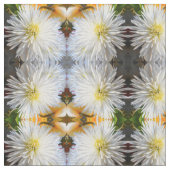 Claricia Stof (Close Up)