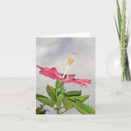 Clarion Kaart (Voorkant)