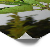 Clarion Poster (Hoek)