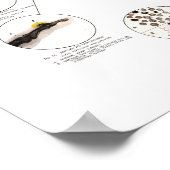 Clark Dental Health Chart voor Dentist Poster (Hoek)