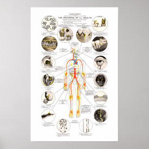 Clark Dental Health Chart voor Dentist Poster