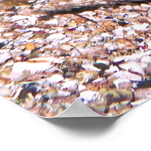 Clarke's Anenomefish Poster (Hoek)