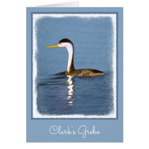 Clark's Grebe Painting - Oorspronkelijke vogelkuns