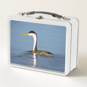 Clark's Grebe Painting - Oorspronkelijke vogelkuns