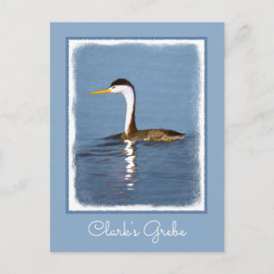 Clark's Grebe Painting - Oorspronkelijke vogelkuns Briefkaart