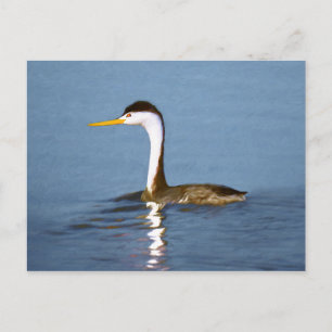 Clark's Grebe Painting - Oorspronkelijke vogelkuns Briefkaart