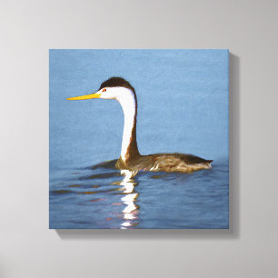 Clark's Grebe Painting - Oorspronkelijke vogelkuns Canvas Afdruk