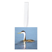 Clark's Grebe Painting - Oorspronkelijke vogelkuns Decoratie (Voorkant)