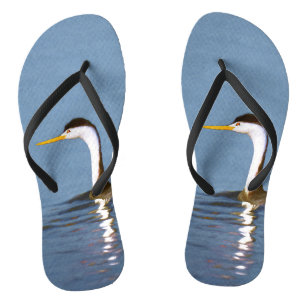 Clark's Grebe Painting - Oorspronkelijke vogelkuns Teenslippers