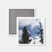 Clark's Nutcracker 2 x 2 magnet (Voorkant / Achterkant)