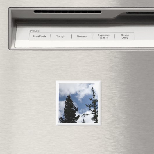 Clark's Nutcracker 2 x 2 magnet (Insitu (Vaatwasser))