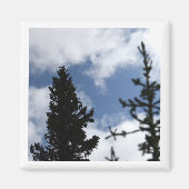 Clark's Nutcracker 2 x 2 magnet (Voorkant)