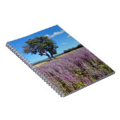 Clary sage field in Frankrijk Notitieboek (Rechterzijde)