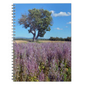 Clary sage field in Frankrijk Notitieboek (Voorkant)