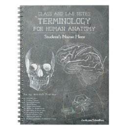 Class and Lab Notes - Terminologie (gepersonalisee Notitieboek