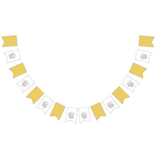 Class of 2026 / Banderines decorativos Vlaggetjes (Alle)