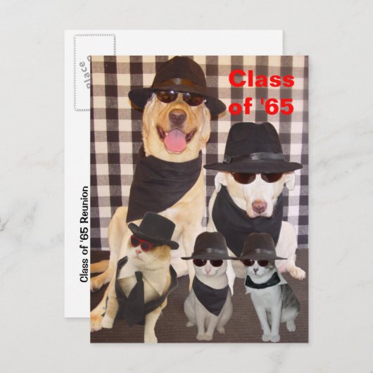 Class Reunion Briefkaart/Uitnodiging Uitnodiging Briefkaart (Voorkant / Achterkant)
