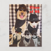 Class Reunion Briefkaart/Uitnodiging Uitnodiging Briefkaart (Voorkant)