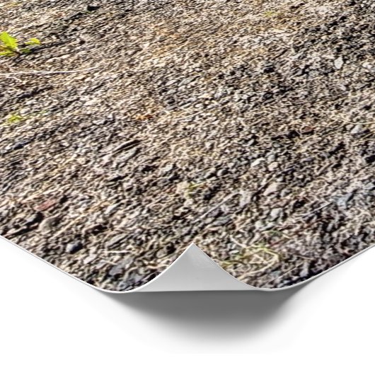 CLASSIC AMERICAN TRUCK LINEUP POSTER (Hoek)