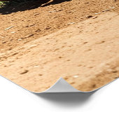 Classic Baseball Glove on Infield Dirt Poster (Hoek)