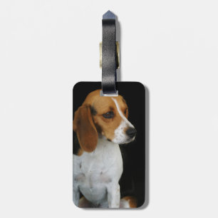 Classic Beagle Bagagelabel