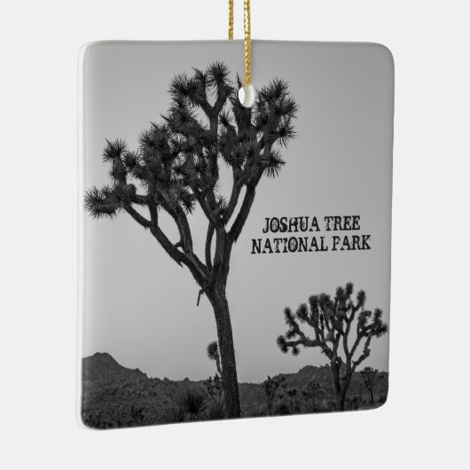 Classic Black White Pink Blue Joshua Tree Souvenir Keramisch Ornament (Rechts)