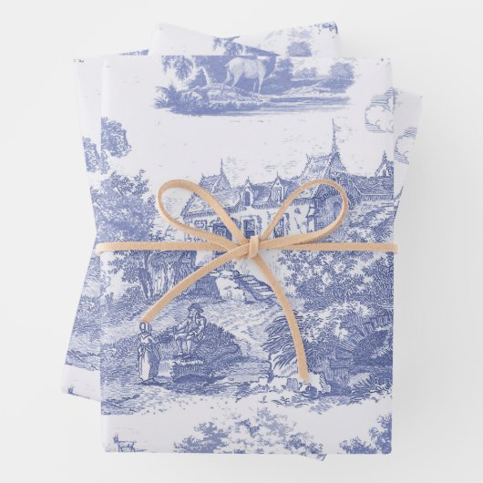 Classic Blauw Frans Chateau Toile Inpakpapier Vel (In situ)