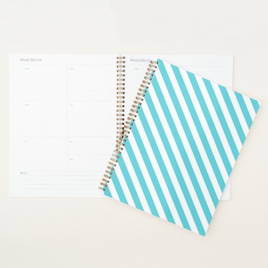 Classic blue and white diagonal stripes planner (Display)