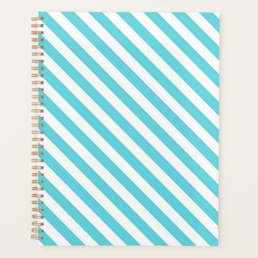 Classic blue and white diagonal stripes planner (Voorkant)
