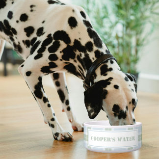 Classic Blue Green Plaid Pattern Name Dog Water Voerbakje