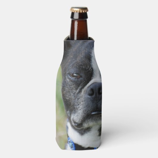 Classic Boston Terrier Dog Flesjeskoeler (Fles Voorkant)