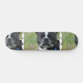 Classic Boston Terrier Dog Skateboard (Horizontaal)