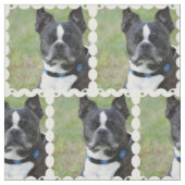 Classic Boston Terrier Dog Stof (Swatch)