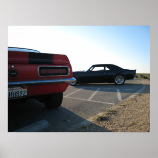 Classic Camaros Poster