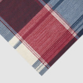 Classic Christmas Blue and Red Plaid Tissuepapier (Detail)