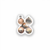 Classic Christmas Ornament Assortment Sticker (Voorkant)