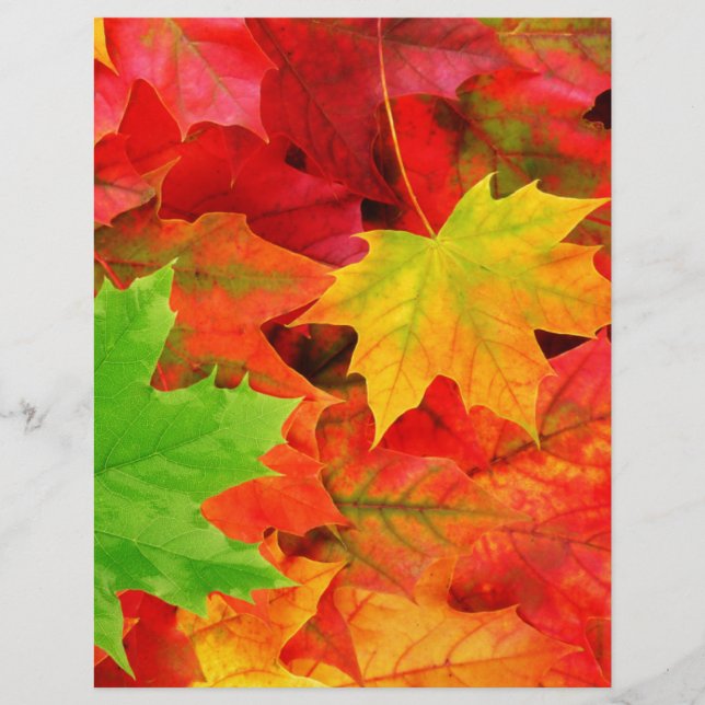 Classic Colour Autumn Herfst Leaf Print (Voorkant)