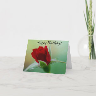Classic Elegance Red Rose Verjaardag Kaart