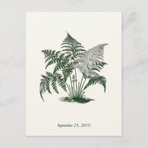 Classic Ferns Wedding Kaart