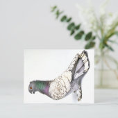 Classic Frill Pigeon Briefkaart (Staand voorkant)