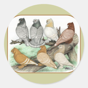 Classic Frill Pigeons Blondinettes Ronde Sticker