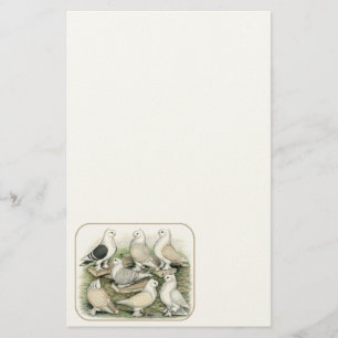 Classic Frill Pigeons Satinettes Briefpapier