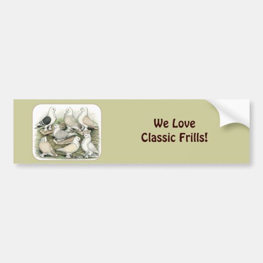 Classic Frill Pigeons Satinettes Bumpersticker (Voorkant)