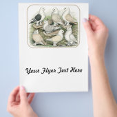 Classic Frill Pigeons Satinettes Flyer (Hand)