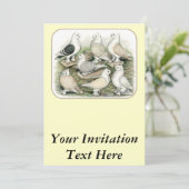 Classic Frill Pigeons Satinettes Kaart (Staand voorkant)