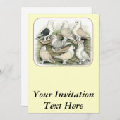 Classic Frill Pigeons Satinettes Kaart (Voorkant / Achterkant)